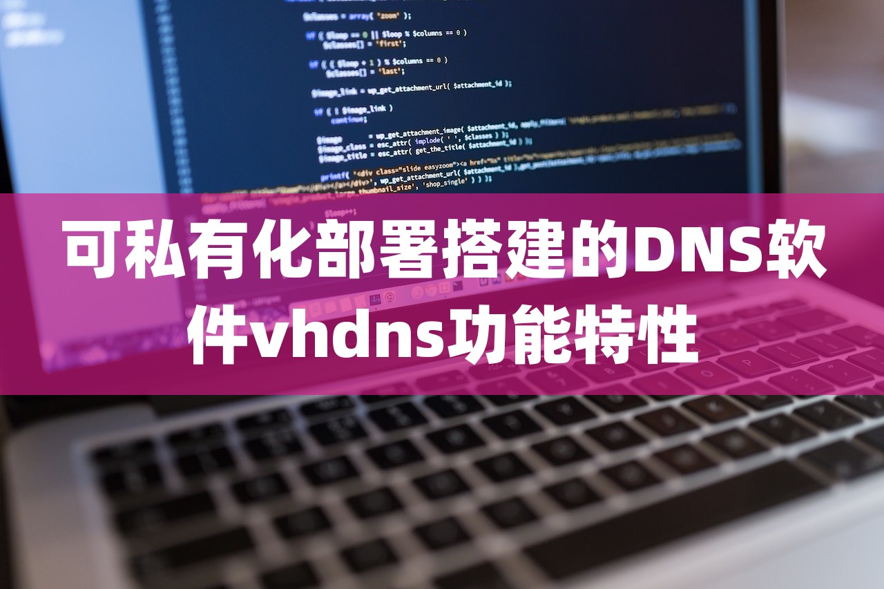 可私有化部署搭建的DNS软件vhdns功能特性