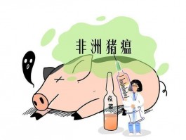 非洲猪瘟疫苗,上海兽医研究所开发出一款非瘟备选疫苗