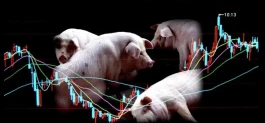 生猪市场2024年十大预测,2024年猪价预测