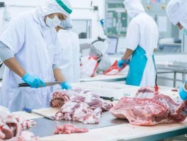 大型上市公司生猪屠宰分割产品成本分配方法