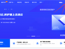 五洛云国内高防/海外高防云主机,服务器,热销中