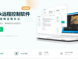 RayLink官网 raylink.live 免费电脑远程控制软件