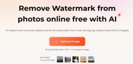 免费在线AI去图片水印工具dewatermark.ai