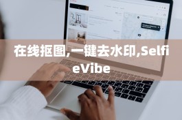 在线抠图,一键去水印,SelfieVibe