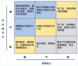 什么是GE矩阵分析？GE矩阵分析的步骤