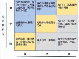 什么是GE矩阵分析？GE矩阵分析的步骤