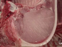 怎么感官鉴别PSE肉、注水肉、注胶肉？
