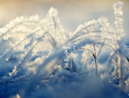 冬至 愿人间的灯火温暖天堂的亲人