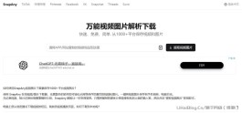 SnapAny官网 免费在线视频/图片下载器