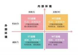 SWOT分析法,SWOT分析模型,怎样进行swot分析？