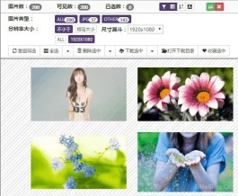 图片助手(ImageAssistant) Chrome浏览器扩展程序