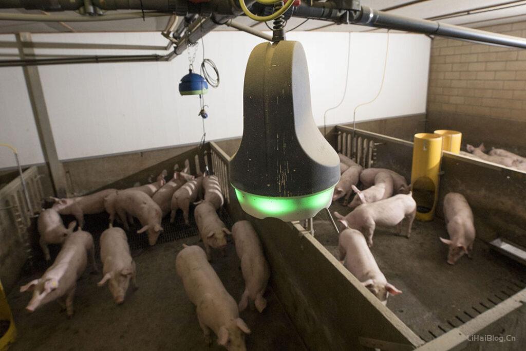 猪只呼吸道疾病数字化智能监测工具SoundTalks