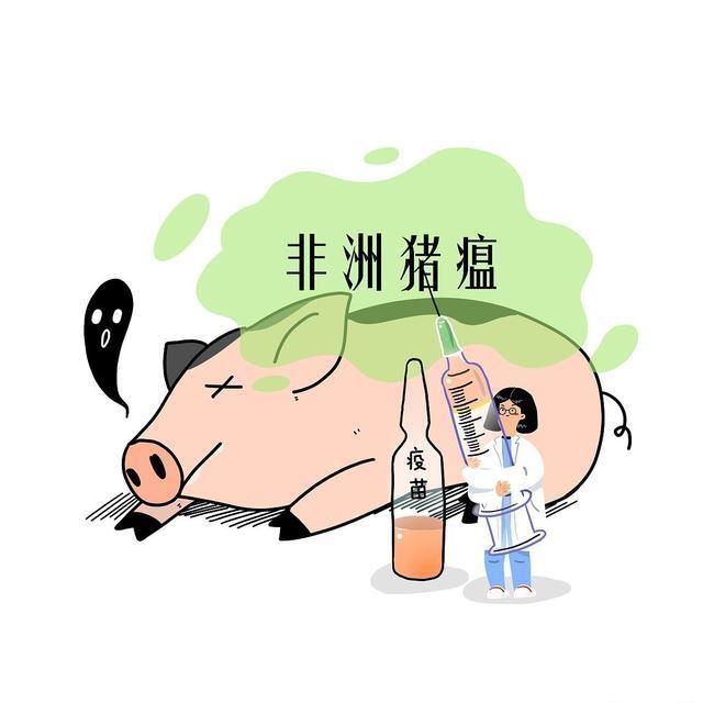 非洲猪瘟疫苗,上海兽医研究所开发出一款非瘟备选疫苗